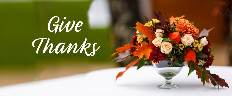 Thanskgiving Flowers Delivered Minneapolis Daily